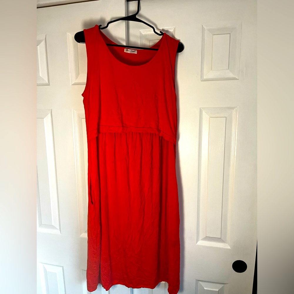 Bearsland Maternity/Nursing Dress